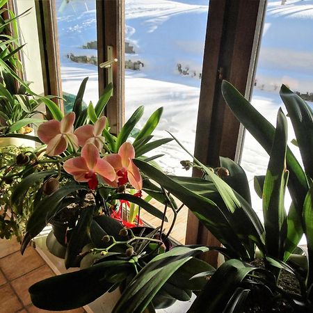 Hotel Le Bois Des Louison Seytroux Zewnętrze zdjęcie